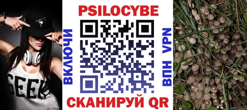 Псилоцибиновые грибы Psilocybine cubensis Усинск